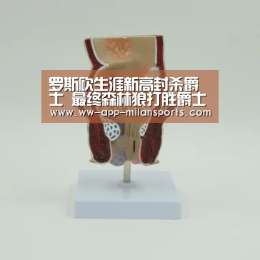 米兰体育全站app