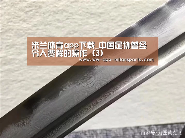 米兰体育app下载_中国足协曾经令人费解的操作(3)(图2) 米兰体育全站下载